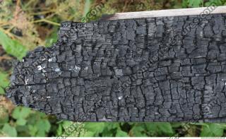 Photo Textures of Wood